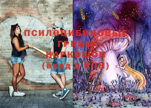 спиды Кодинск
