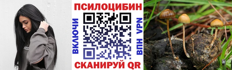 blacksprut tor  где купить наркотик  Юрюзань  Псилоцибиновые грибы прущие грибы 